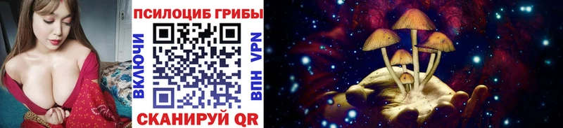 Псилоцибиновые грибы GOLDEN TEACHER  Лысково 