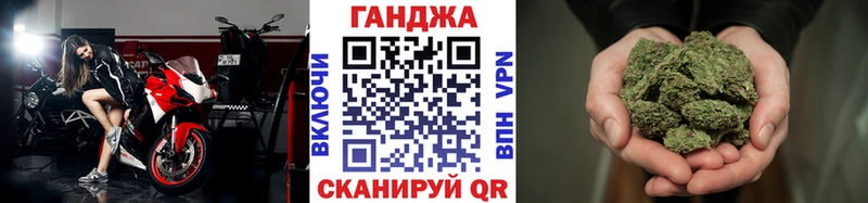 Конопля сатива  Лысково 